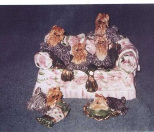 YORKIE COUCH